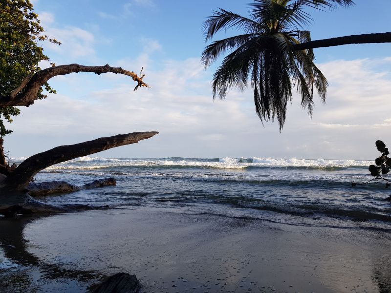 gal/2019/02_CostaRica/20190116_063751.jpg