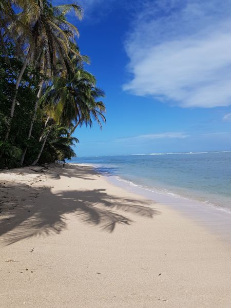 gal/2019/02_CostaRica/20190116_111153.jpg