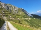 gal/2025/14_Stubai/_thb_image012.jpg